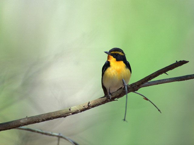 無為自然のストレスレスな生き方